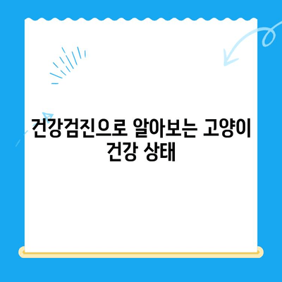 24시간 폴 동물병원 고양이 건강검진 특집| 꼼꼼한 검사 항목 & 건강 관리 팁 | 고양이 건강, 건강검진, 동물병원, 폴 동물병원