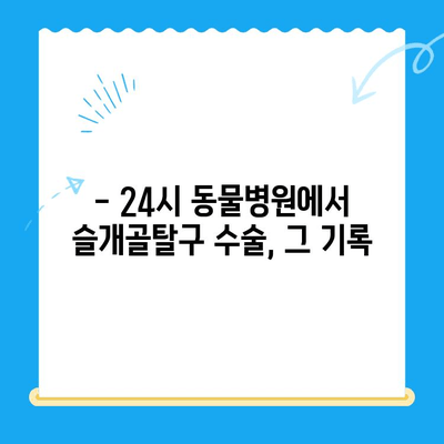 강아지 슬개골탈구 수술, 24시 동물병원에서 경험한 이야기 | 슬개골탈구, 수술 후기, 재활, 24시 동물병원