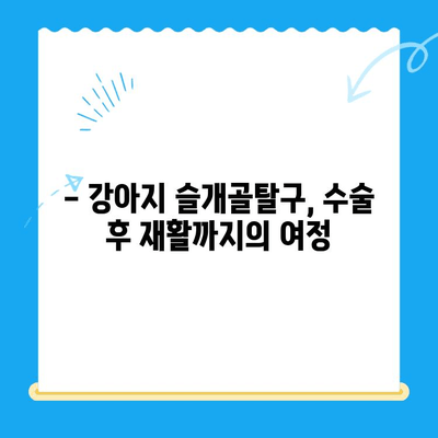 강아지 슬개골탈구 수술, 24시 동물병원에서 경험한 이야기 | 슬개골탈구, 수술 후기, 재활, 24시 동물병원