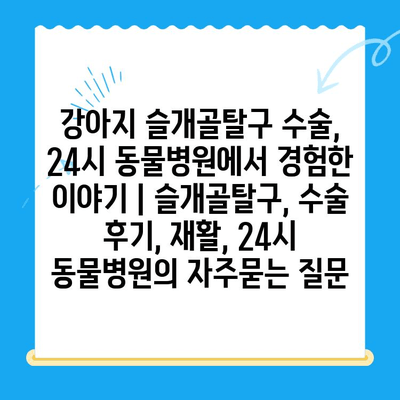 강아지 슬개골탈구 수술, 24시 동물병원에서 경험한 이야기 | 슬개골탈구, 수술 후기, 재활, 24시 동물병원