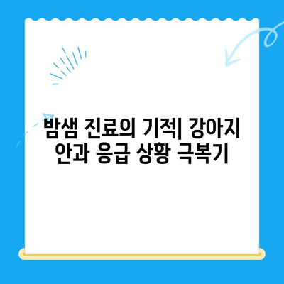 24시 동물병원 강아지 안과 검진 후기| 밤샘 진료 경험 공유 | 강아지 눈병, 안과 전문의, 응급 진료, 24시 동물병원