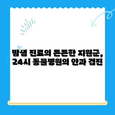 24시 동물병원 강아지 안과 검진 후기| 밤샘 진료 경험 공유 | 강아지 눈병, 안과 전문의, 응급 진료, 24시 동물병원