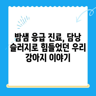 강아지 담낭 슬러지, 24시간 동물병원 치료 후기| 경험담과 함께하는 치료 과정 | 담낭 슬러지, 강아지 건강, 24시간 응급 진료