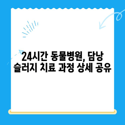 강아지 담낭 슬러지, 24시간 동물병원 치료 후기| 경험담과 함께하는 치료 과정 | 담낭 슬러지, 강아지 건강, 24시간 응급 진료