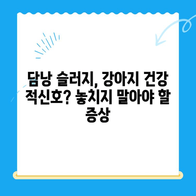 강아지 담낭 슬러지, 24시간 동물병원 치료 후기| 경험담과 함께하는 치료 과정 | 담낭 슬러지, 강아지 건강, 24시간 응급 진료