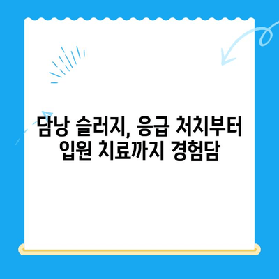 강아지 담낭 슬러지, 24시간 동물병원 치료 후기| 경험담과 함께하는 치료 과정 | 담낭 슬러지, 강아지 건강, 24시간 응급 진료