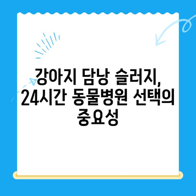 강아지 담낭 슬러지, 24시간 동물병원 치료 후기| 경험담과 함께하는 치료 과정 | 담낭 슬러지, 강아지 건강, 24시간 응급 진료