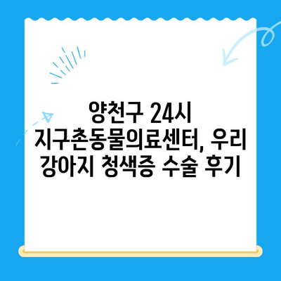 양천구 강아지 청색증 수술 후기| 24시 지구촌동물의료센터 경험 공유 | 강아지 심장병, 수술 과정, 회복 후기