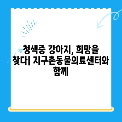 양천구 강아지 청색증 수술 후기| 24시 지구촌동물의료센터 경험 공유 | 강아지 심장병, 수술 과정, 회복 후기
