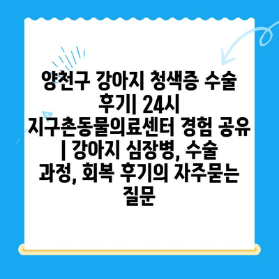 양천구 강아지 청색증 수술 후기| 24시 지구촌동물의료센터 경험 공유 | 강아지 심장병, 수술 과정, 회복 후기