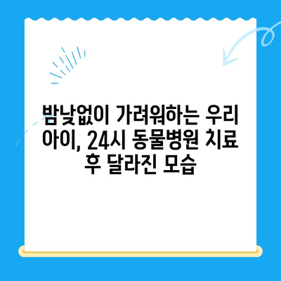 강아지 아토피 피부염 24시 동물병원 치료 후기| 실제 경험담과 전문가 리뷰 | 아토피, 피부염, 24시 동물병원, 강아지 건강