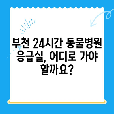 부천 동물병원 응급실, 궁금한 모든 것! | 24시간 운영, 진료 가능한 병원 정보, 비용, 주의사항