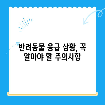 부천 동물병원 응급실, 궁금한 모든 것! | 24시간 운영, 진료 가능한 병원 정보, 비용, 주의사항
