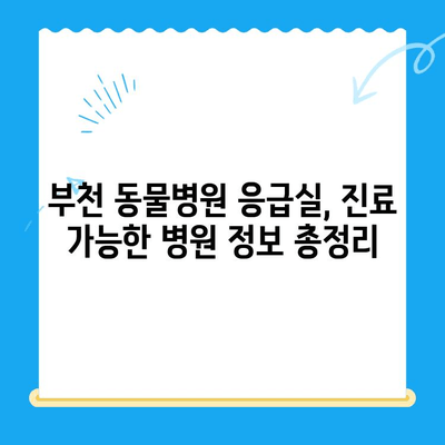 부천 동물병원 응급실, 궁금한 모든 것! | 24시간 운영, 진료 가능한 병원 정보, 비용, 주의사항