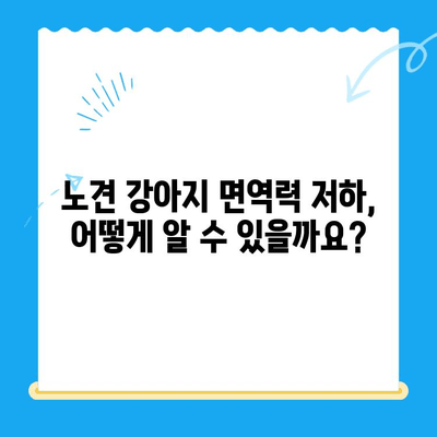 노견 강아지 면역력, 검사가 필요할 때? | 건강 지표, 증상, 검사 방법, 주의 사항