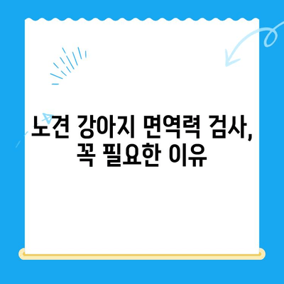 노견 강아지 면역력, 검사가 필요할 때? | 건강 지표, 증상, 검사 방법, 주의 사항