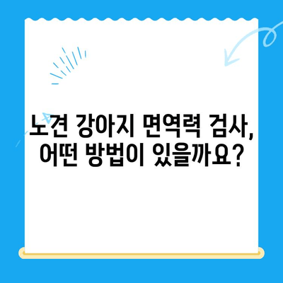 노견 강아지 면역력, 검사가 필요할 때? | 건강 지표, 증상, 검사 방법, 주의 사항