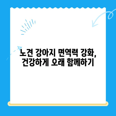 노견 강아지 면역력, 검사가 필요할 때? | 건강 지표, 증상, 검사 방법, 주의 사항