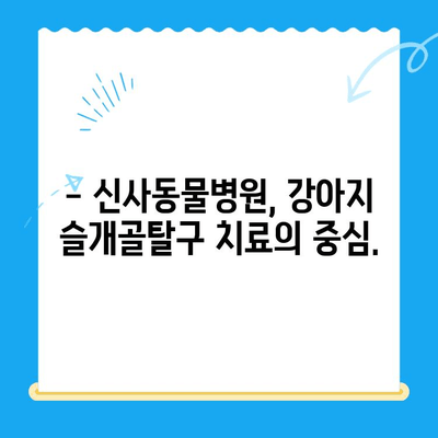 강아지 슬개골탈구, 24시간 신사동물병원에서 안전하고 전문적인 수술 받으세요 | 슬개골탈구 수술, 강아지 수술, 신사동물병원, 24시간 진료