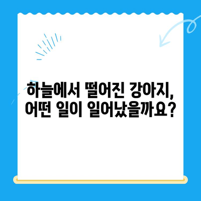 스카이에서 회복된 강아지, 사지마비와 갈색뇨| 원인과 치료법 | 강아지 건강, 응급처치, 동물병원