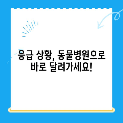 스카이에서 회복된 강아지, 사지마비와 갈색뇨| 원인과 치료법 | 강아지 건강, 응급처치, 동물병원