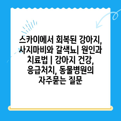 스카이에서 회복된 강아지, 사지마비와 갈색뇨| 원인과 치료법 | 강아지 건강, 응급처치, 동물병원