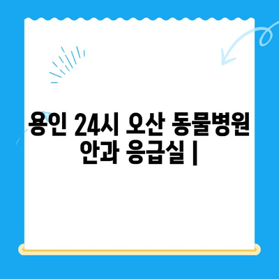 용인 24시 오산 동물병원 안과 응급실| 대기 시간 & 진료 정보 | 동물병원, 응급, 안과, 24시간, 용인, 오산