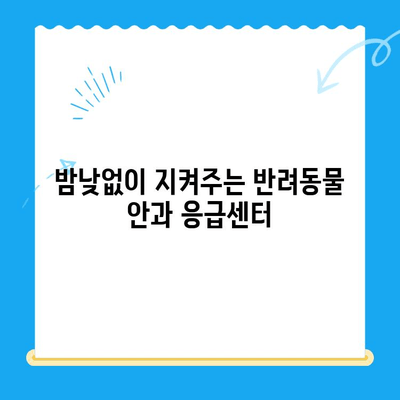 용인 24시 오산 동물병원 안과 응급실| 대기 시간 & 진료 정보 | 동물병원, 응급, 안과, 24시간, 용인, 오산