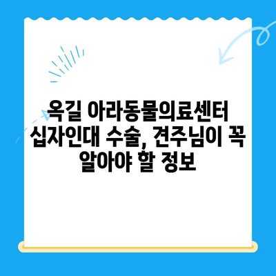 부천 24시 동물병원, 옥길 아라동물의료센터 십자인대 수술|  견주님이 알아야 할 모든 것 | 부천 동물병원, 십자인대 수술, 강아지, 고양이, 수술 정보, 비용, 후기