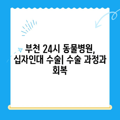 부천 24시 동물병원, 옥길 아라동물의료센터 십자인대 수술|  견주님이 알아야 할 모든 것 | 부천 동물병원, 십자인대 수술, 강아지, 고양이, 수술 정보, 비용, 후기