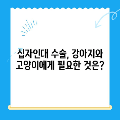 부천 24시 동물병원, 옥길 아라동물의료센터 십자인대 수술|  견주님이 알아야 할 모든 것 | 부천 동물병원, 십자인대 수술, 강아지, 고양이, 수술 정보, 비용, 후기