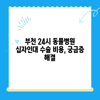 부천 24시 동물병원, 옥길 아라동물의료센터 십자인대 수술|  견주님이 알아야 할 모든 것 | 부천 동물병원, 십자인대 수술, 강아지, 고양이, 수술 정보, 비용, 후기