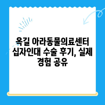 부천 24시 동물병원, 옥길 아라동물의료센터 십자인대 수술|  견주님이 알아야 할 모든 것 | 부천 동물병원, 십자인대 수술, 강아지, 고양이, 수술 정보, 비용, 후기