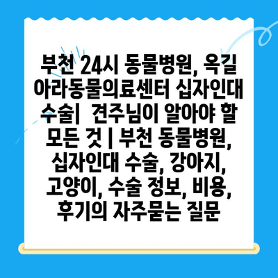 부천 24시 동물병원, 옥길 아라동물의료센터 십자인대 수술|  견주님이 알아야 할 모든 것 | 부천 동물병원, 십자인대 수술, 강아지, 고양이, 수술 정보, 비용, 후기