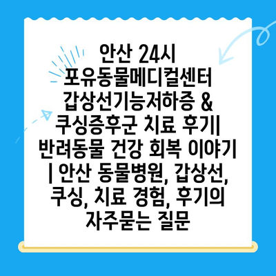 안산 24시 포유동물메디컬센터 갑상선기능저하증 & 쿠싱증후군 치료 후기| 반려동물 건강 회복 이야기 | 안산 동물병원, 갑상선, 쿠싱, 치료 경험, 후기