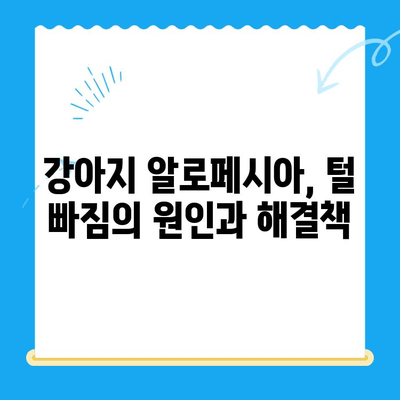 24시간 일산 동물병원에서 강아지 알로페시아 검사| 알아야 할 모든 것 | 강아지 털 빠짐, 탈모, 진료, 치료, 비용