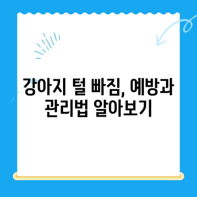 24시간 일산 동물병원에서 강아지 알로페시아 검사| 알아야 할 모든 것 | 강아지 털 빠짐, 탈모, 진료, 치료, 비용