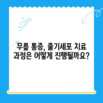 무릎 통증, 줄기세포 치료로 해결할 수 있을까요? | 무릎 통증, 줄기세포 치료, 재활, 치료 과정, 비용