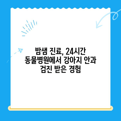 24시간 동물병원 강아지 안과 검진 후기| 밤샘 진료 경험 공유 | 안과 검진, 응급 진료, 동물병원 추천
