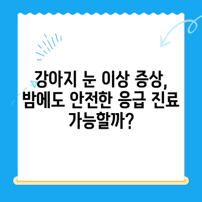 24시간 동물병원 강아지 안과 검진 후기| 밤샘 진료 경험 공유 | 안과 검진, 응급 진료, 동물병원 추천
