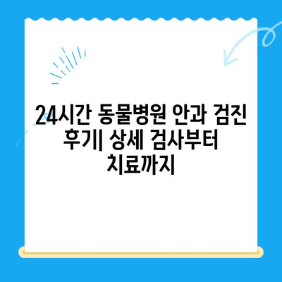 24시간 동물병원 강아지 안과 검진 후기| 밤샘 진료 경험 공유 | 안과 검진, 응급 진료, 동물병원 추천