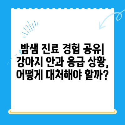 24시간 동물병원 강아지 안과 검진 후기| 밤샘 진료 경험 공유 | 안과 검진, 응급 진료, 동물병원 추천