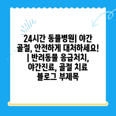 24시간 동물병원| 야간 골절, 안전하게 대처하세요! | 반려동물 응급처치, 야간진료, 골절 치료