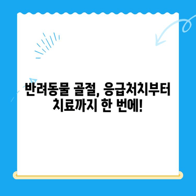 24시간 동물병원| 야간 골절, 안전하게 대처하세요! | 반려동물 응급처치, 야간진료, 골절 치료
