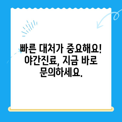 24시간 동물병원| 야간 골절, 안전하게 대처하세요! | 반려동물 응급처치, 야간진료, 골절 치료