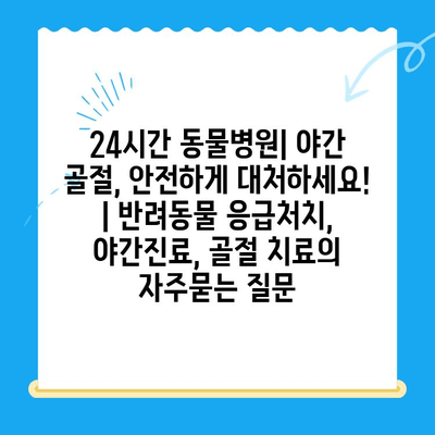 24시간 동물병원| 야간 골절, 안전하게 대처하세요! | 반려동물 응급처치, 야간진료, 골절 치료
