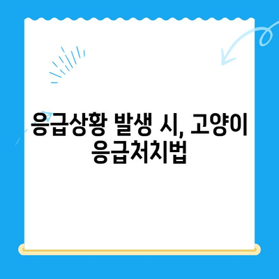 고양이 건강 체크| 24시간 응급 진료 가능한 동물병원 찾기 | 고양이 응급처치, 야간진료, 동물병원 추천