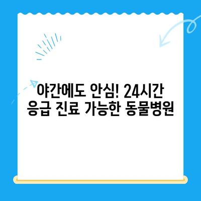 고양이 건강 체크| 24시간 응급 진료 가능한 동물병원 찾기 | 고양이 응급처치, 야간진료, 동물병원 추천