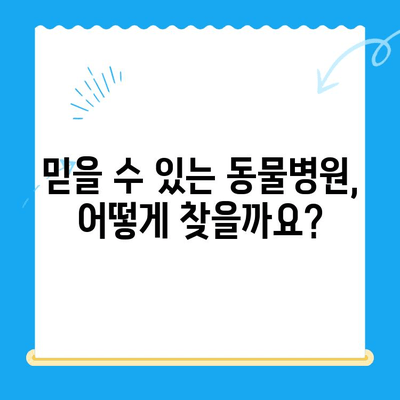 고양이 건강 체크| 24시간 응급 진료 가능한 동물병원 찾기 | 고양이 응급처치, 야간진료, 동물병원 추천