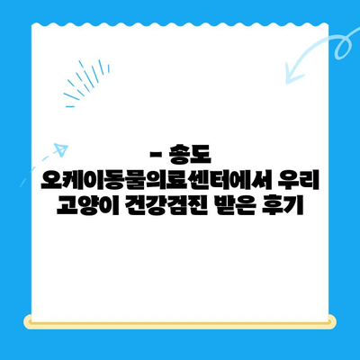 송도 오케이동물의료센터 고양이 건강검진 후기| 상세 경험담 & 검진 항목 | 송도, 고양이 건강검진, 동물병원 추천
